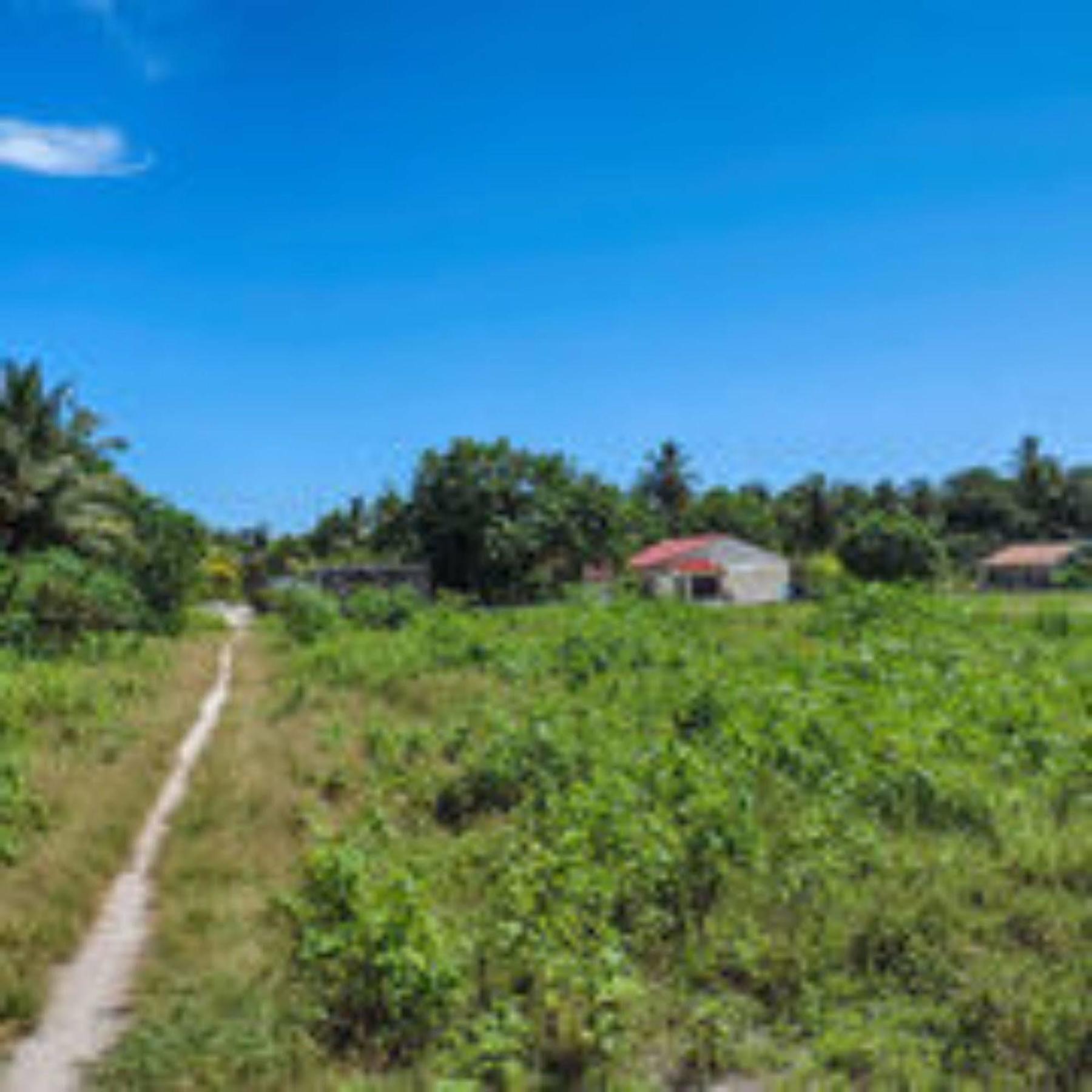 Feridhoo Inn Екстер'єр фото